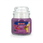 bougie parfumée berry mix
